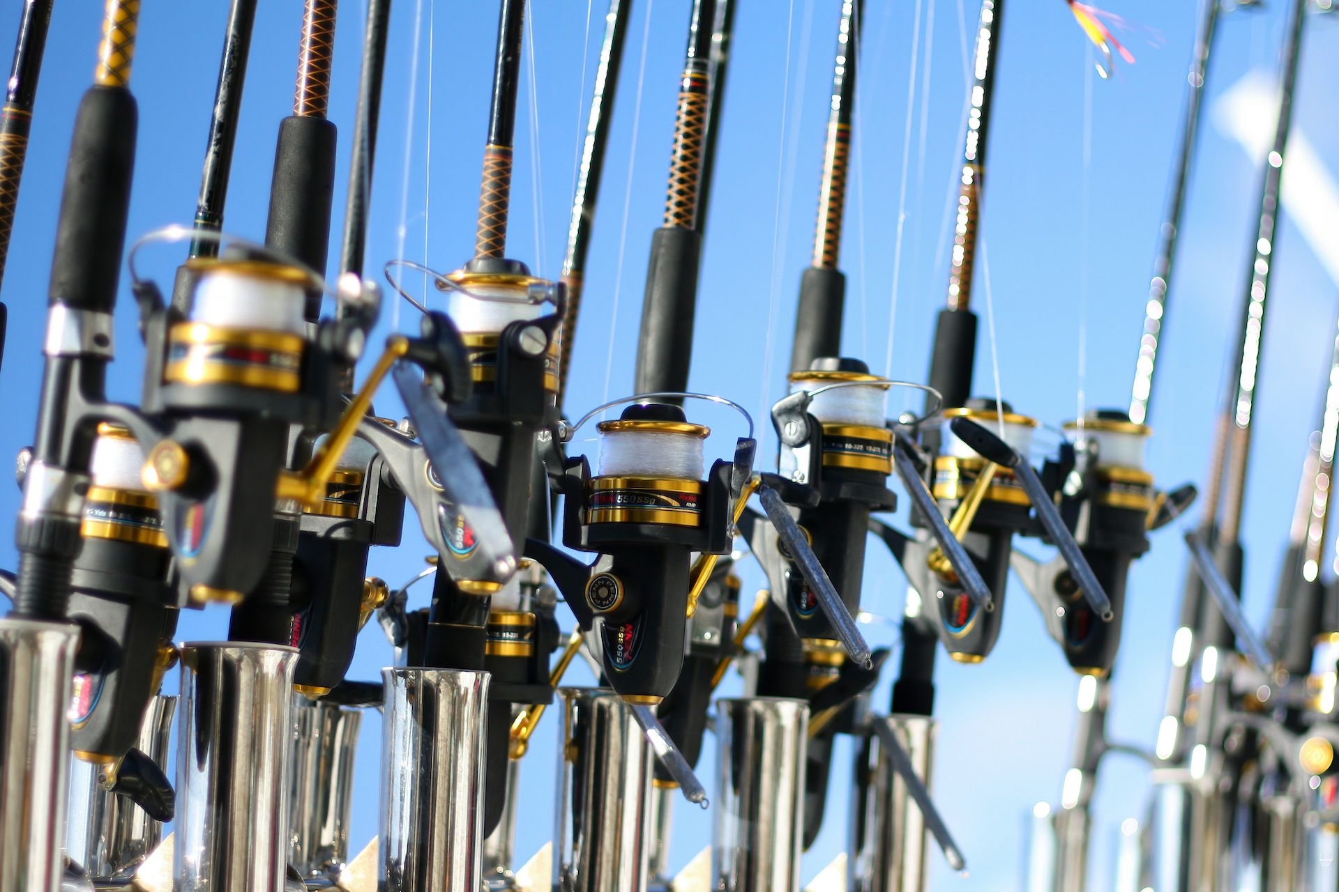 Montauk Cod Fishing is Hot! 2010 Season